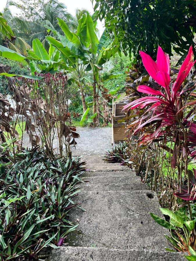 מלון קסטריס Casa Del Vega A Little Peace Of Heaven מראה חיצוני תמונה